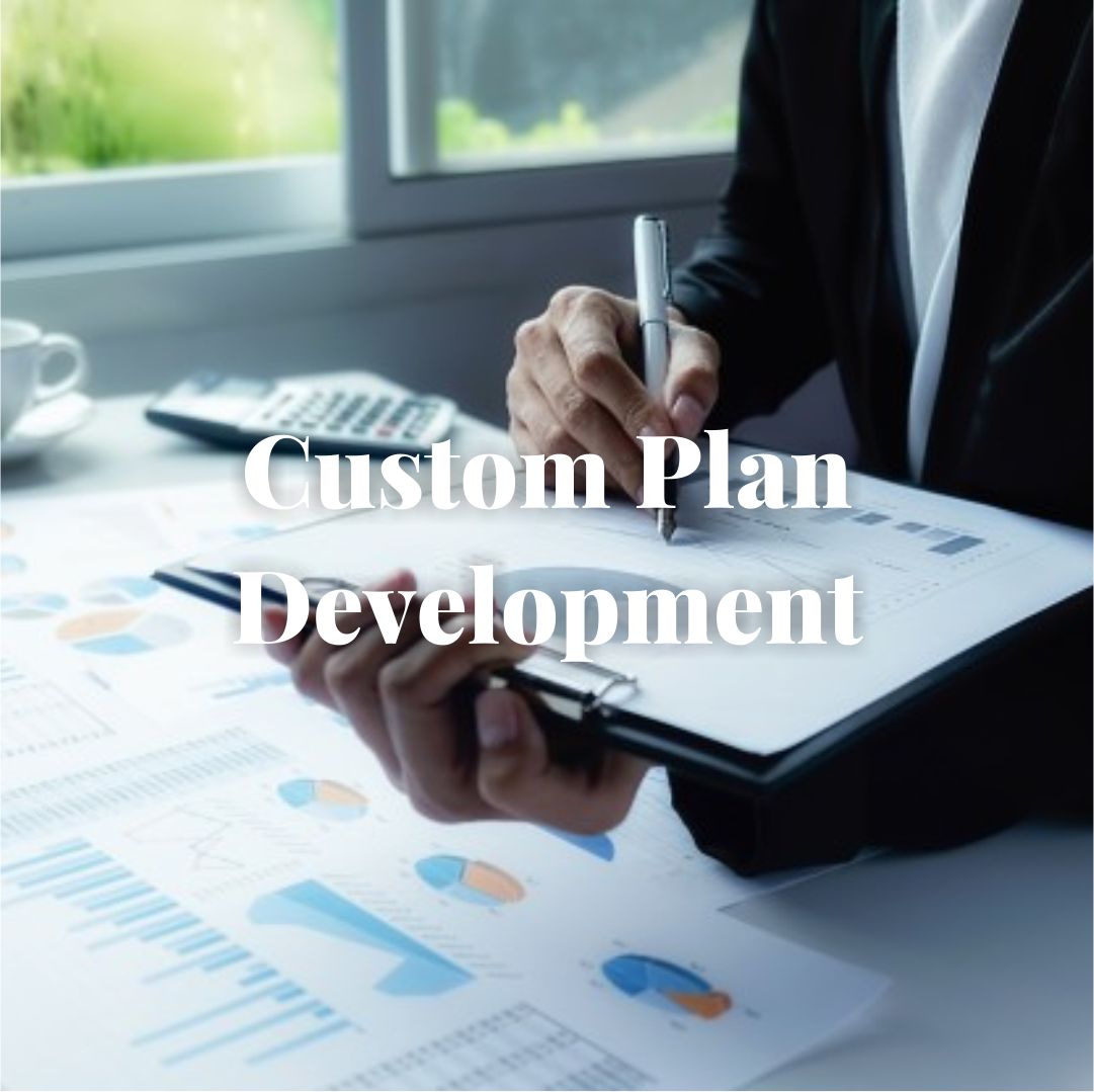 custom business plan